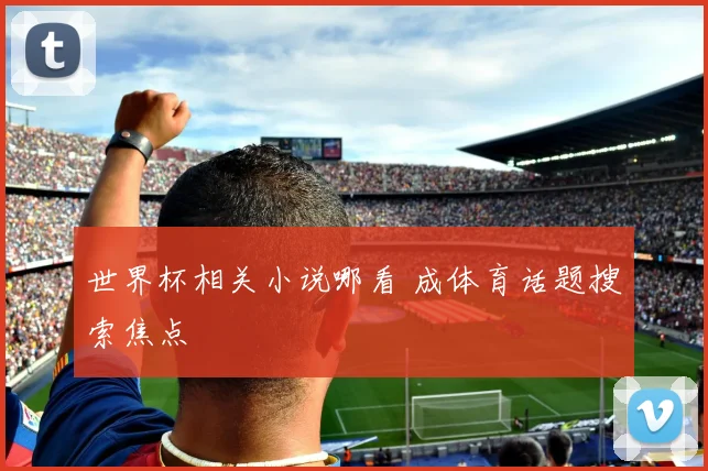 世界杯相关小说哪看 成体育话题搜索焦点