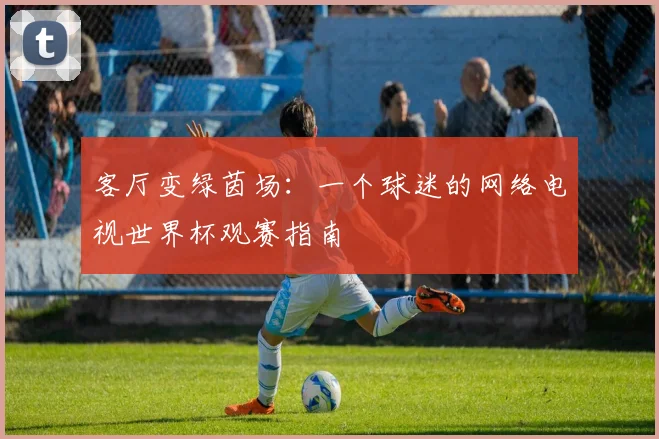客厅变绿茵场:一个球迷的网络电视世界杯观赛指南