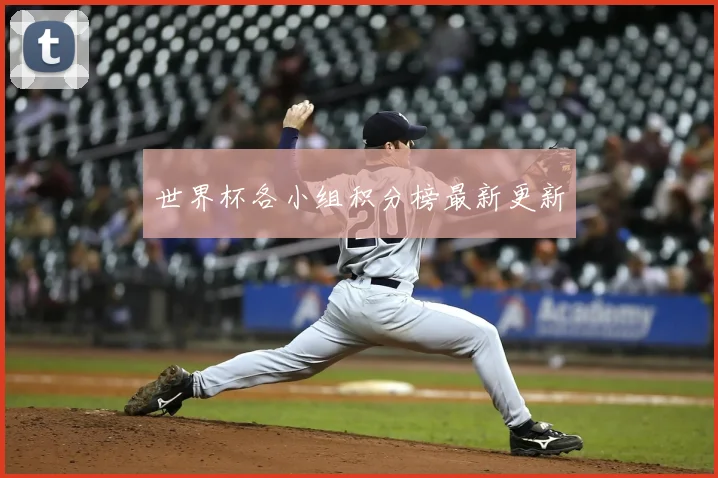 世界杯各小组积分榜最新更新