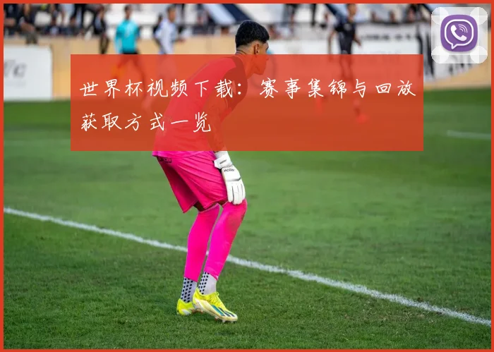 世界杯视频下载:赛事集锦与回放获取方式一览