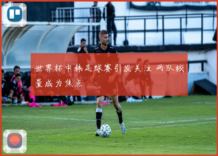 世界杯中韩足球赛引发关注 两队较量成为焦点