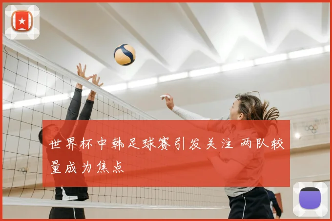世界杯中韩足球赛引发关注 两队较量成为焦点